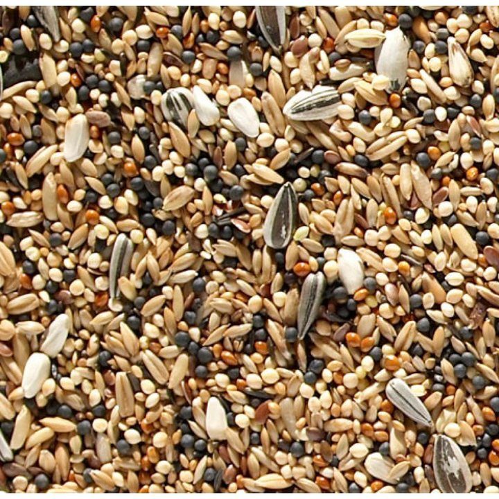 Johnston And Jeff Canary Favourite Mixed Seed