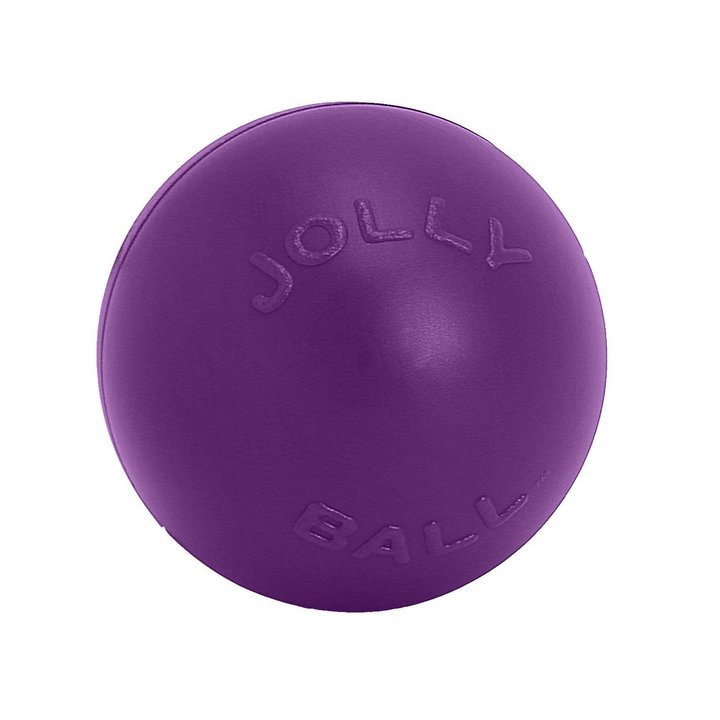 Jolly Pets Push-n-Play Purple