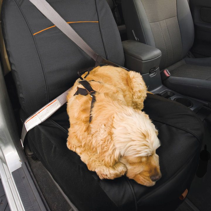 Kurgo Co-pilot Bucket Seat Cover for Dogs