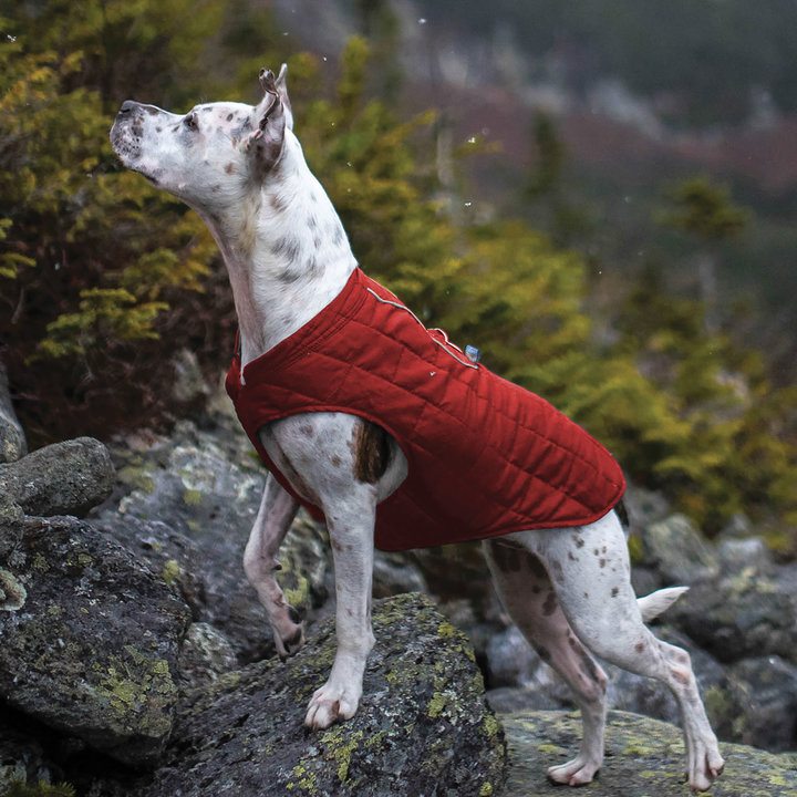 Kurgo Loft Jacket for Dogs Chilli Red & Charcoal