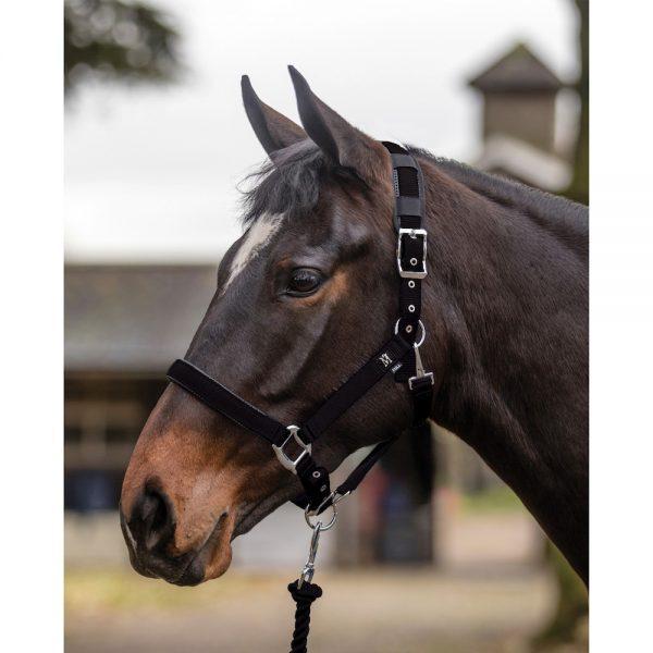 Mark Todd Deluxe Padded Headcollar with Leadrope Black