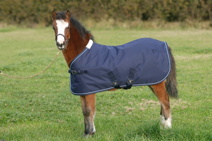 Mark Todd Foal Turnout Rug