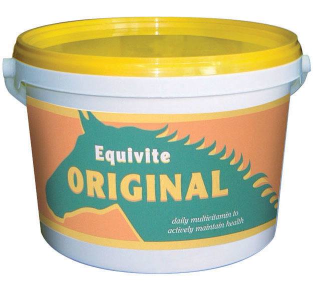 Equivite Original for Horses