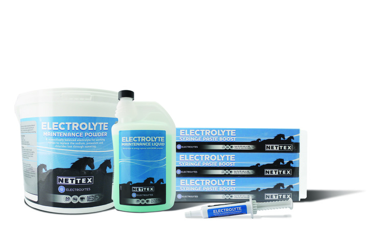 NETTEX Electrolytes for Horses