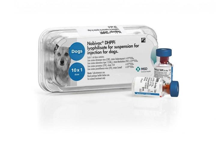 Nobivac DHPPi Injection for Dogs