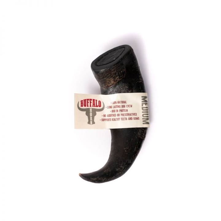 Paddock Farm Buffalo Horn for Dogs