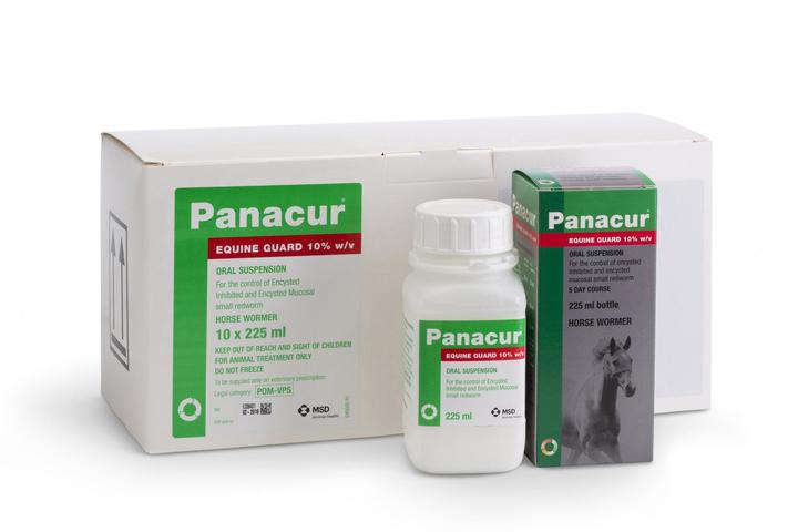 Panacur Wormer for Horses and Donkeys
