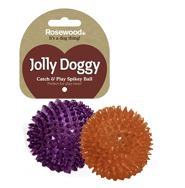 Rosewood Jolly Doggy Catch & Play Spikey Ball