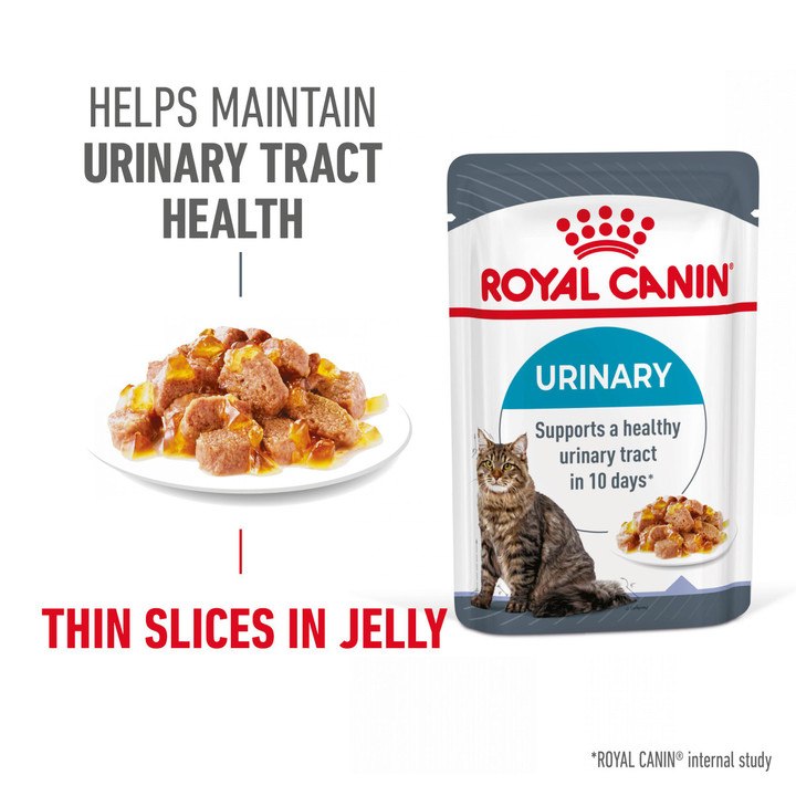 ROYAL CANIN® Feline Health Nutrition Urinary Care Wet Cat Food in Jelly