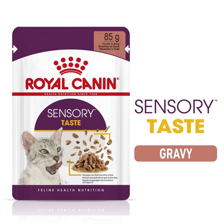 ROYAL CANIN® Sensory Taste in Gravy Adult Wet Cat Food