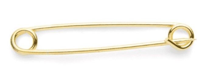 Shires Plain Gold Plated Stock Pin SP2