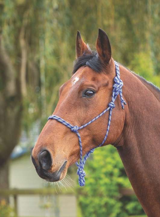 Shires Rope Control Headcollar Navy/White
