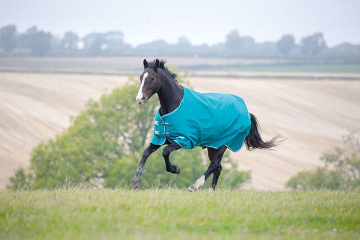 Shires Tempest Plus 200 Teal Turnout Rug