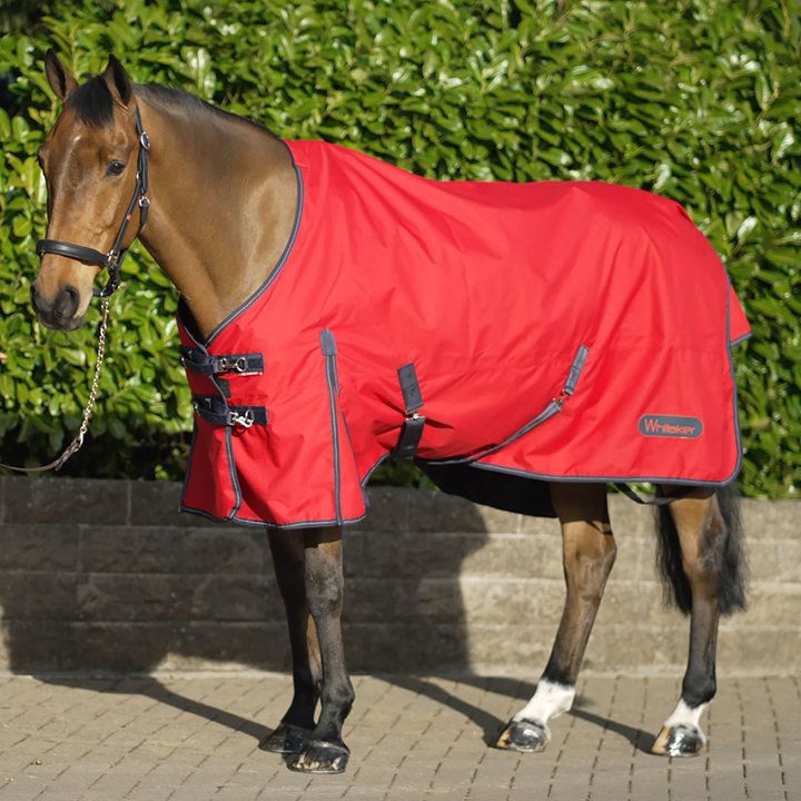 Trilanco Whitaker Rastrick Turnout Rug for Horses 100 Gm Red