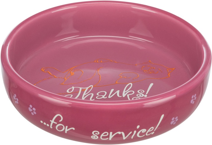 Trixie Paw Prints Flat Ceramic Bowl for Cats