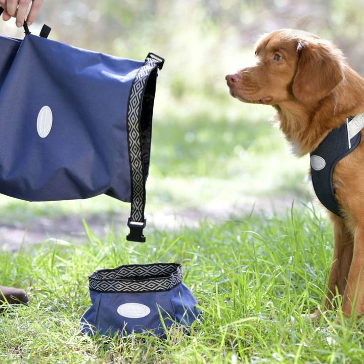 WeatherBeeta Explorer Navy Dog Food Portable Bag
