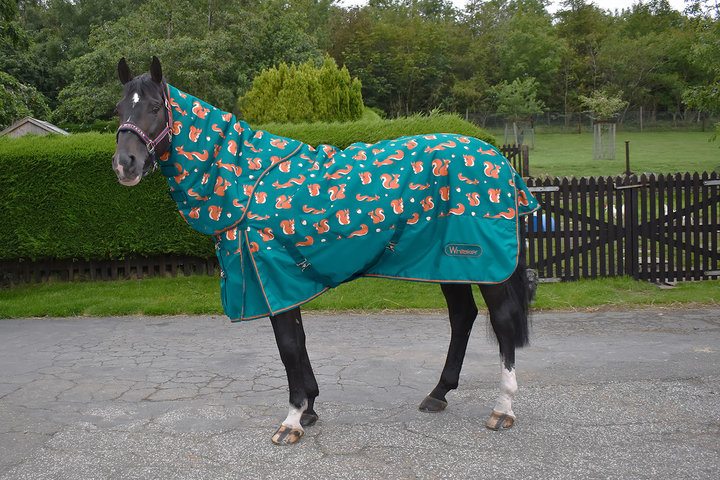 Whitaker Knutsford Turnout Rug for Horses Combo 150 Gm Teal