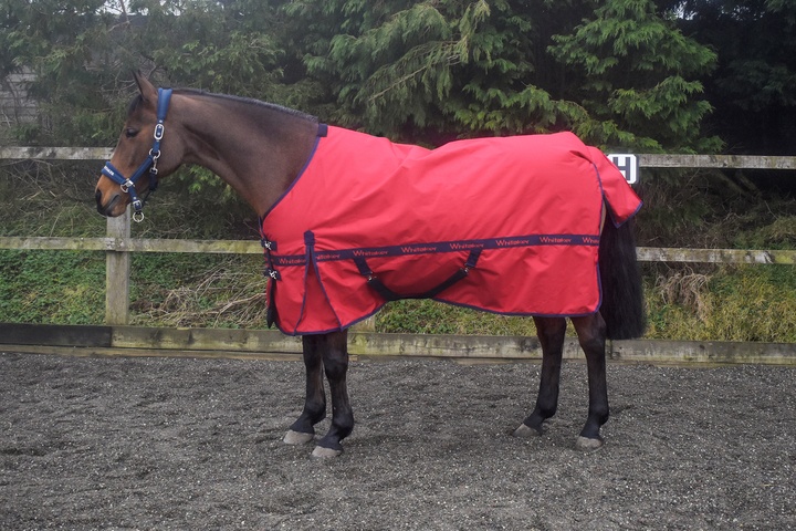 Whitaker Red 200g Sykes Turnout Rug