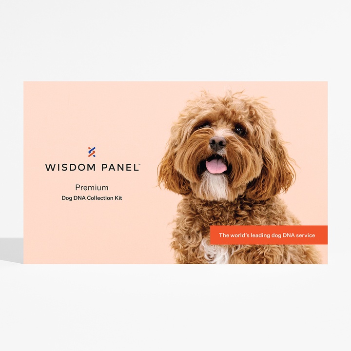 Wisdom Panel Premium Dog DNA Collection Kit