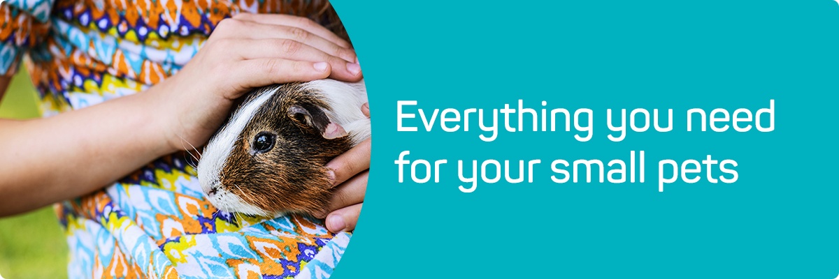 Everything you need for your small animals