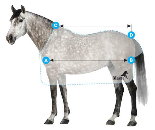 How to Measure your Horse