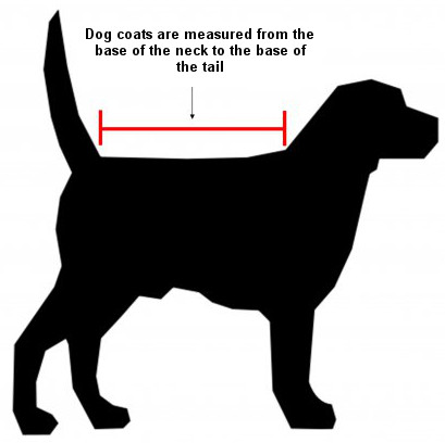 How to measure your dog for a dog coat or rug