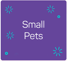 For Small Animals