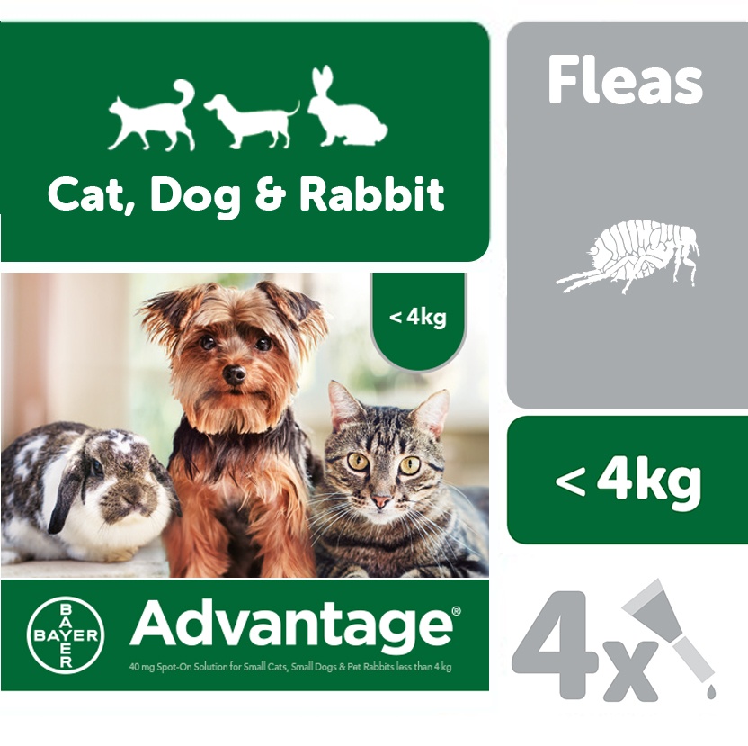 advantage 40 spot on flea control small dogs cats and rabbits 71ml