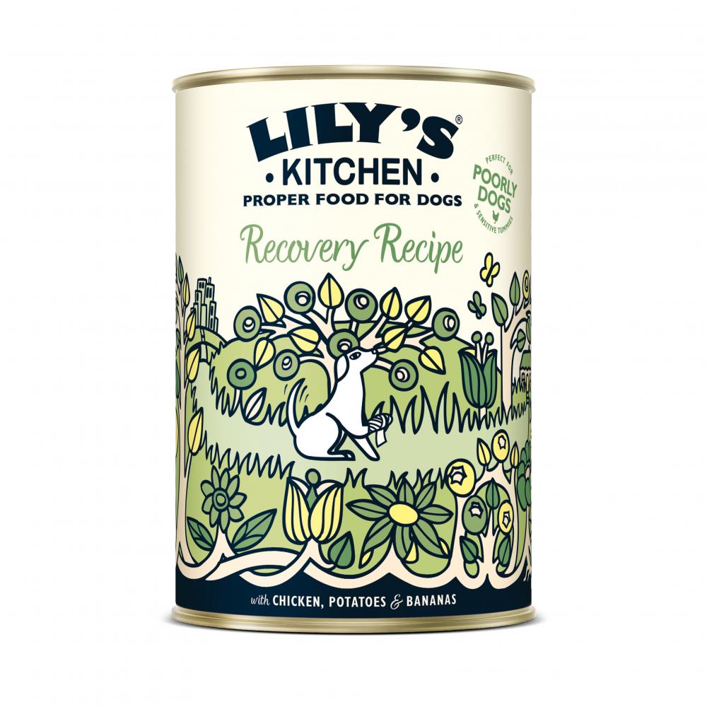 Lilys Kitchen Recovery Recipe For Dogs