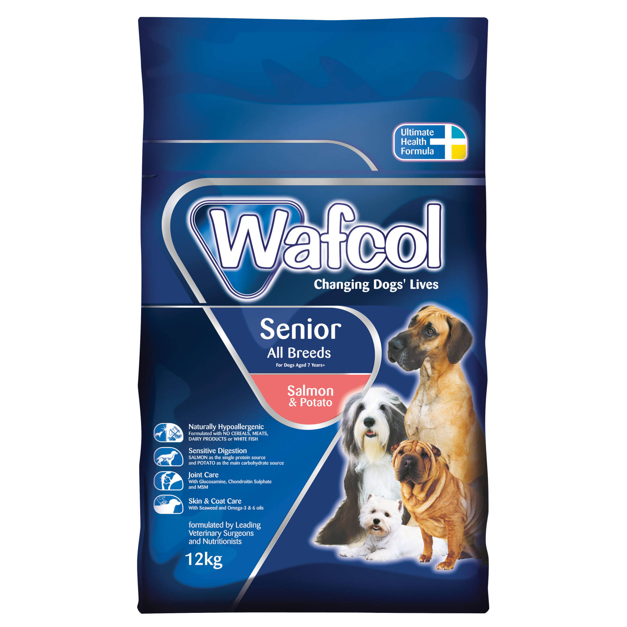 Premium senior best sale dog food