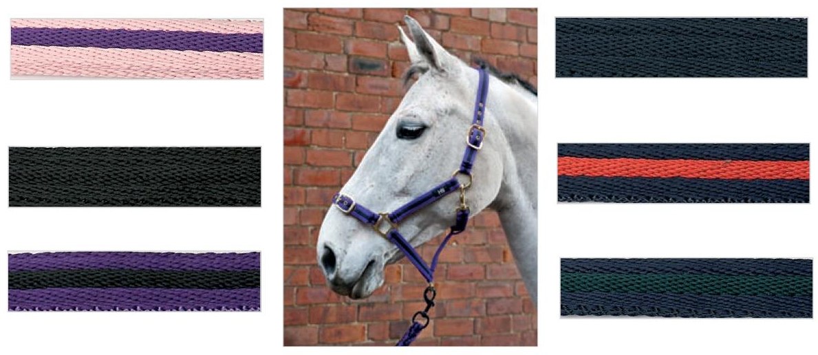 New Horse Pony Cob Hy Soft Webbing Lunge Rein 25" Various Colours 