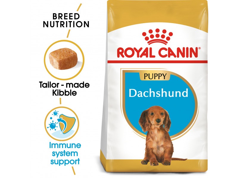 ROYAL CANIN® Dachshund 🐶 Puppy Dry Dog Food