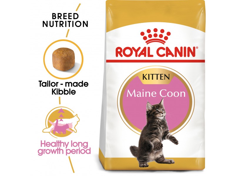 ROYAL CANIN® Maine Coon ðŸ± Kitten Dry Food