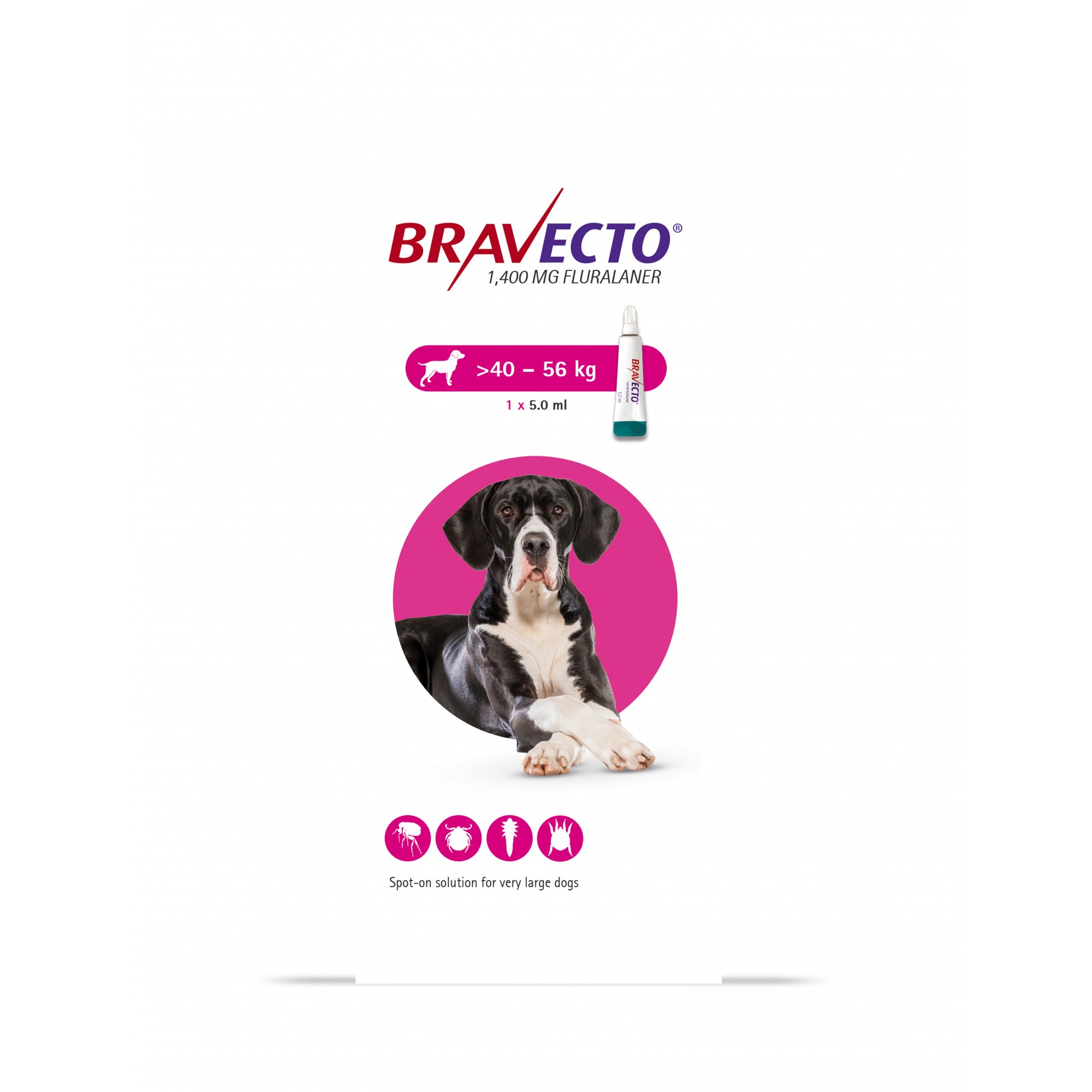 How Long Does Bravecto Pill Take To Work Bravecto 1x2
