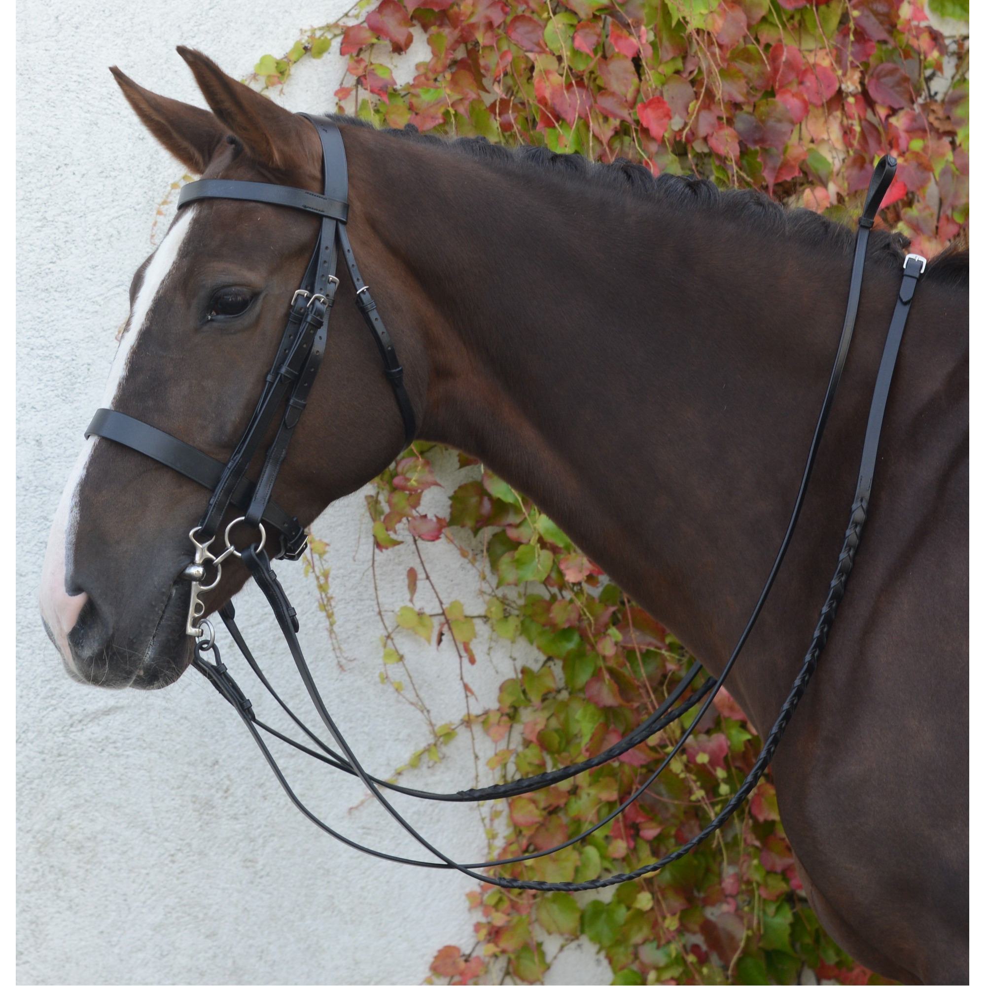 Mackey Classic Double Bridle - Pony - Black Size 5