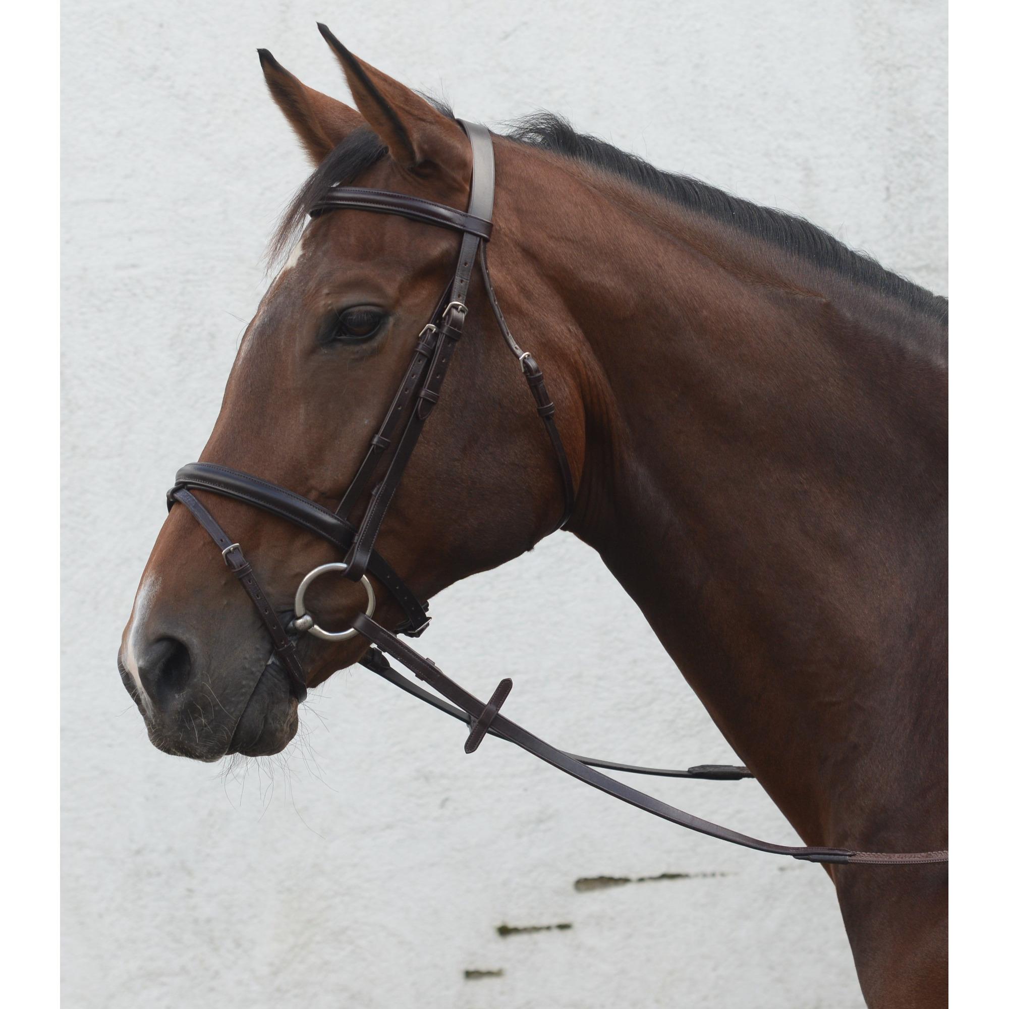 Mackey Classic Flash Bridle - Pony - Brown Size 5