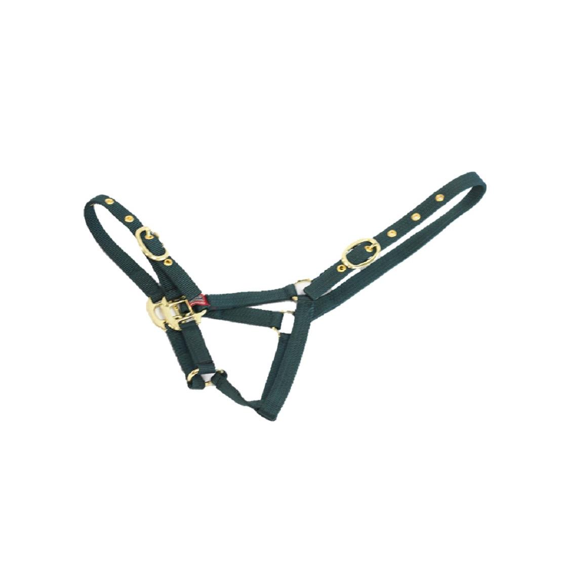 Mackey Equisential Nylon Headcollar - Pony - Green