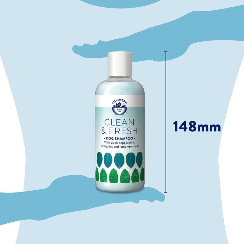 250ml