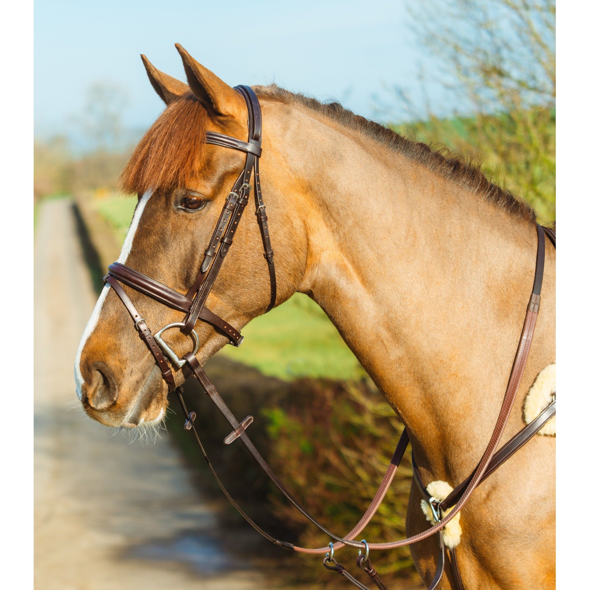 Agrihealth Classic Padded Flash Bridle - Pony Brown