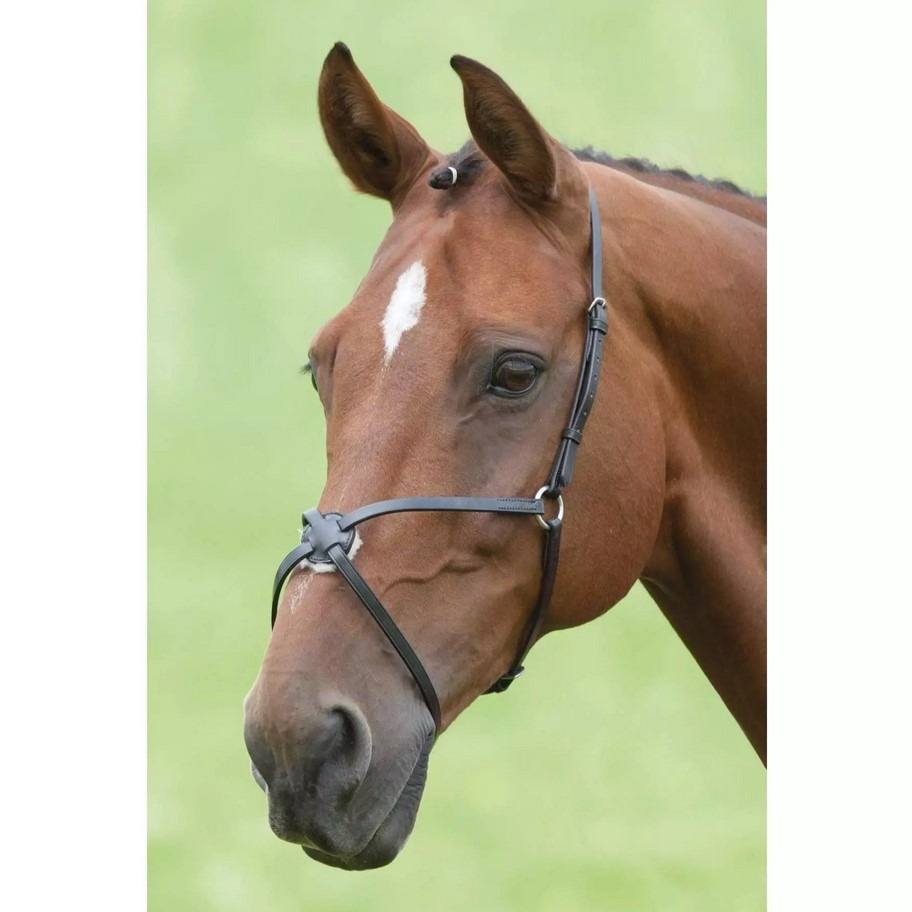 Shires Velociti Grackle Noseband - Havana - Pony