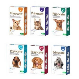 Extra Large Dog 400/100mg (>25-40kg) » Pack of 3