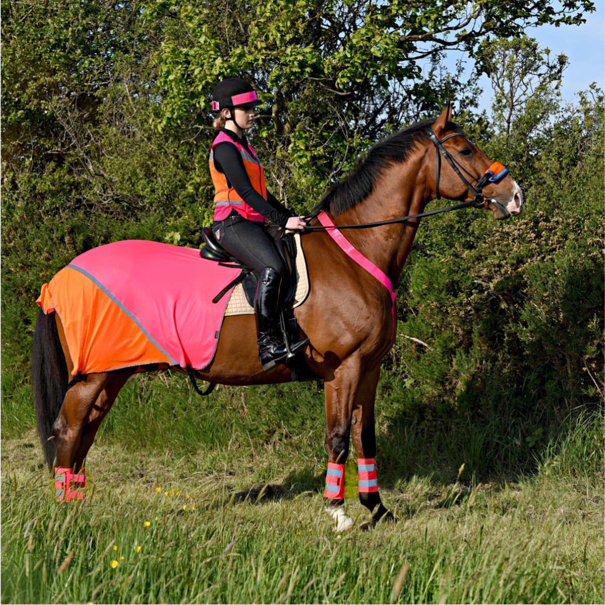 Equisafety  Multi Coloured Horse Summer Sheet Pink and Orange - Cob