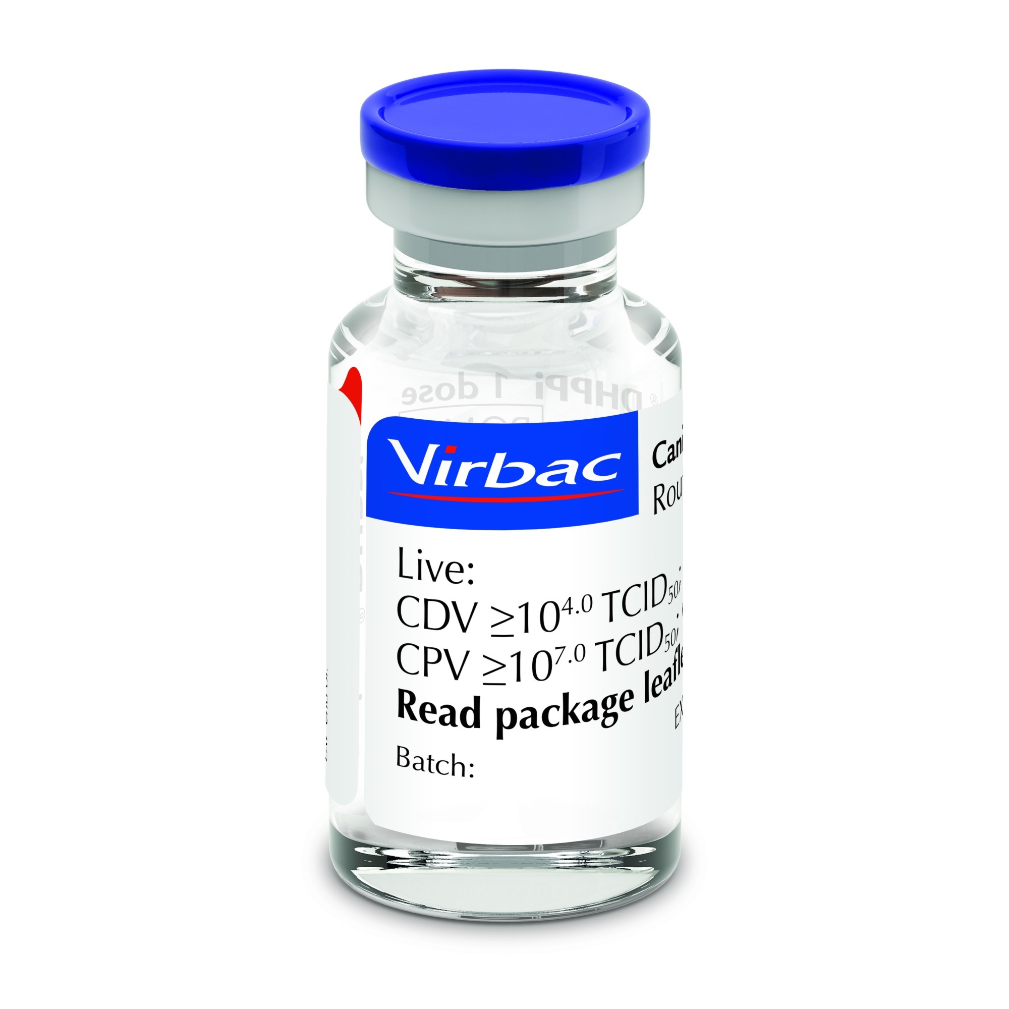 10 Doses