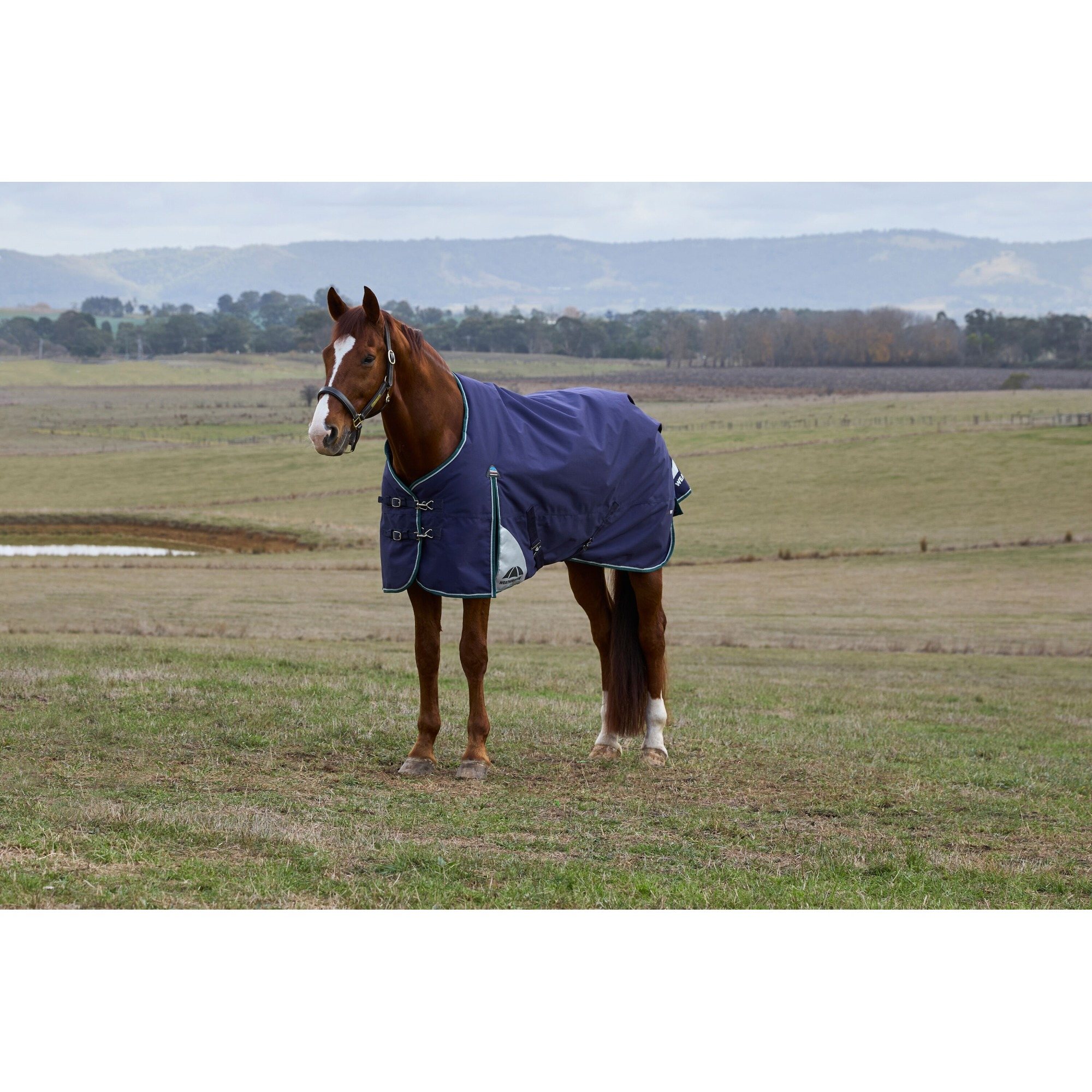Weatherbeeta Comfitec Plus Dynamic Turnout Detach-A-Neck - Navy 7'0/160Cm 220G