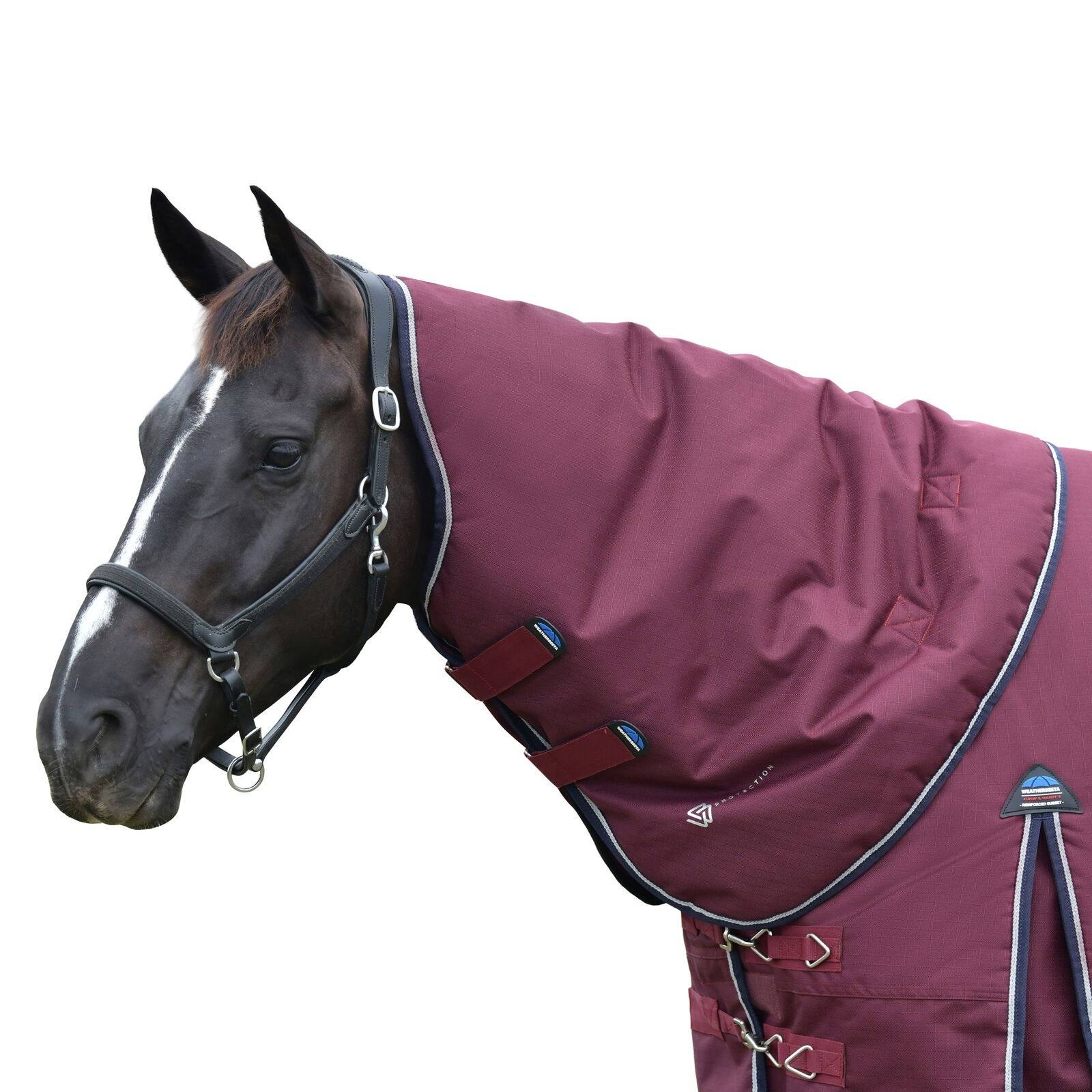 Burgundy LARGE