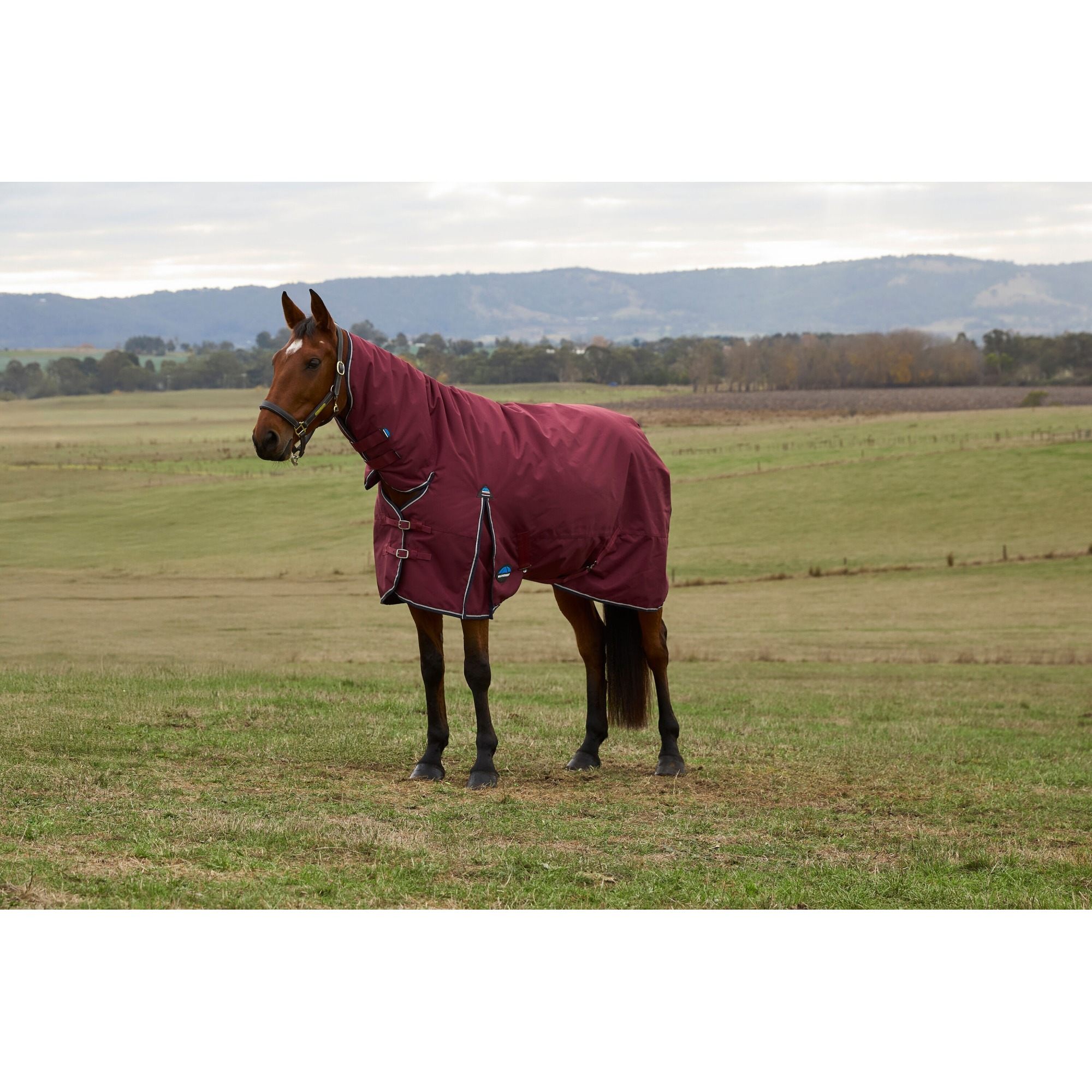 Weatherbeeta Comfitec Prelim Turnout Combo - /Navy 7'0/160Cm Burgundy 0G