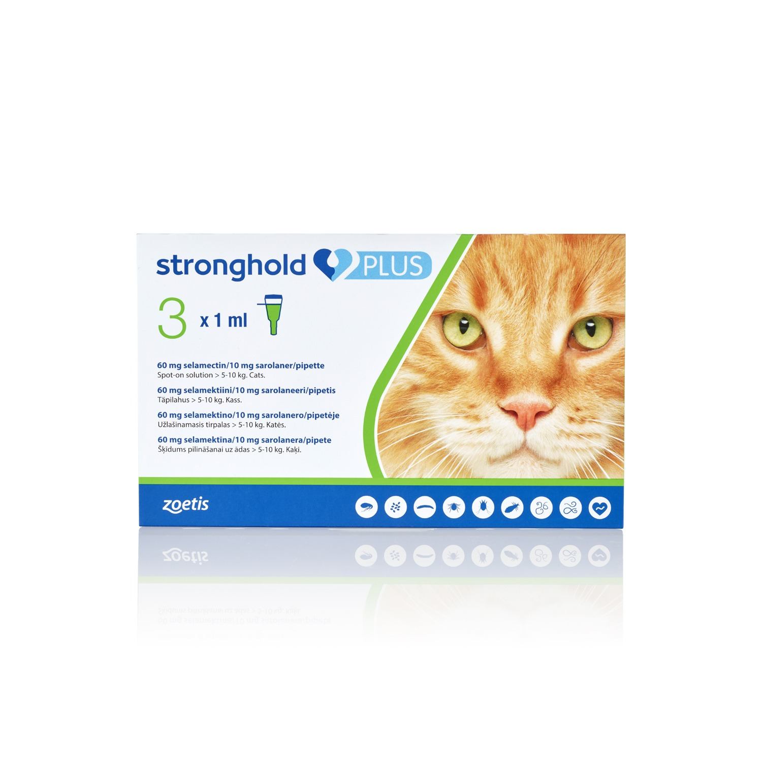 Large Cat 5 - 10 kg » Pack of 3