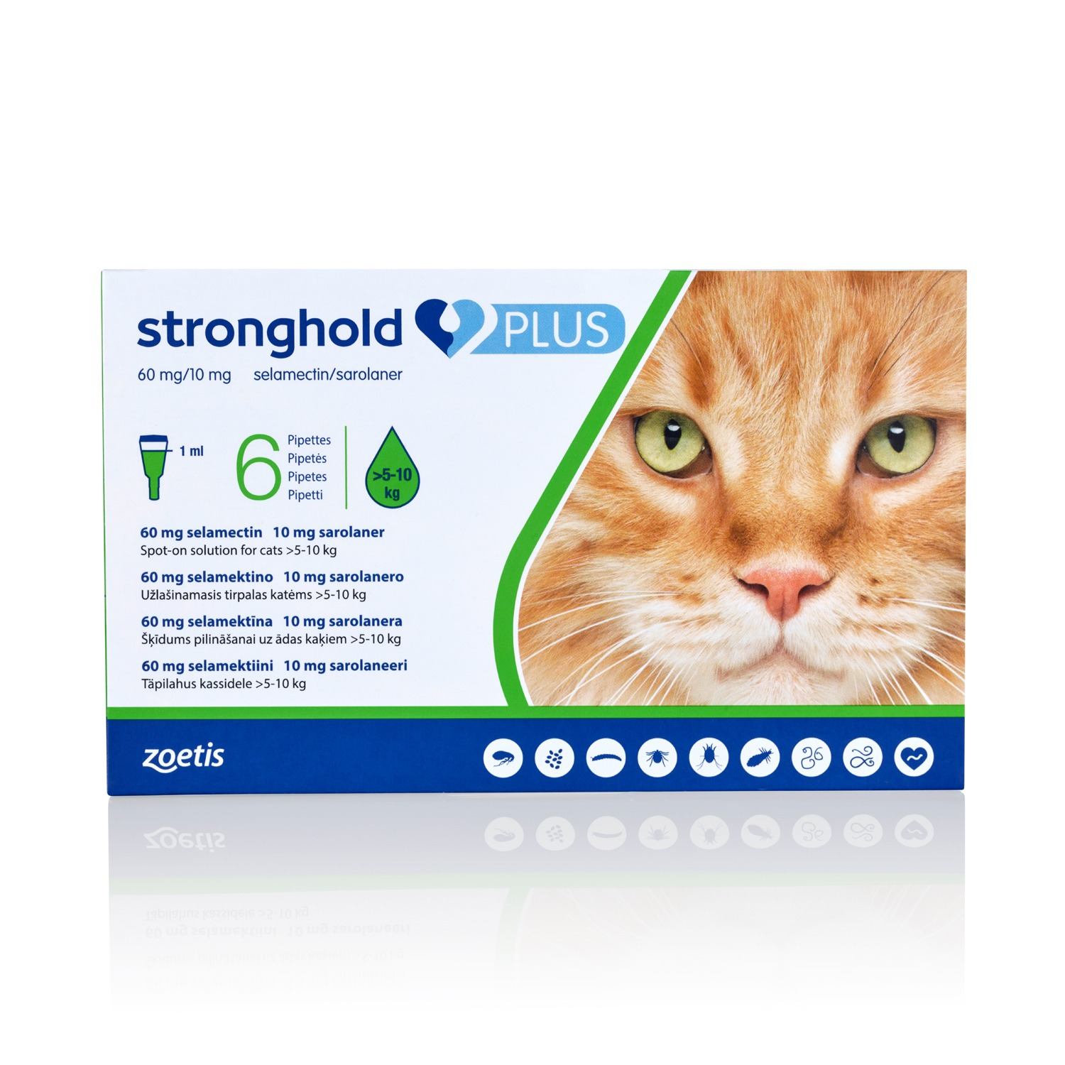 Large Cat 5 - 10 kg » Pack of 6