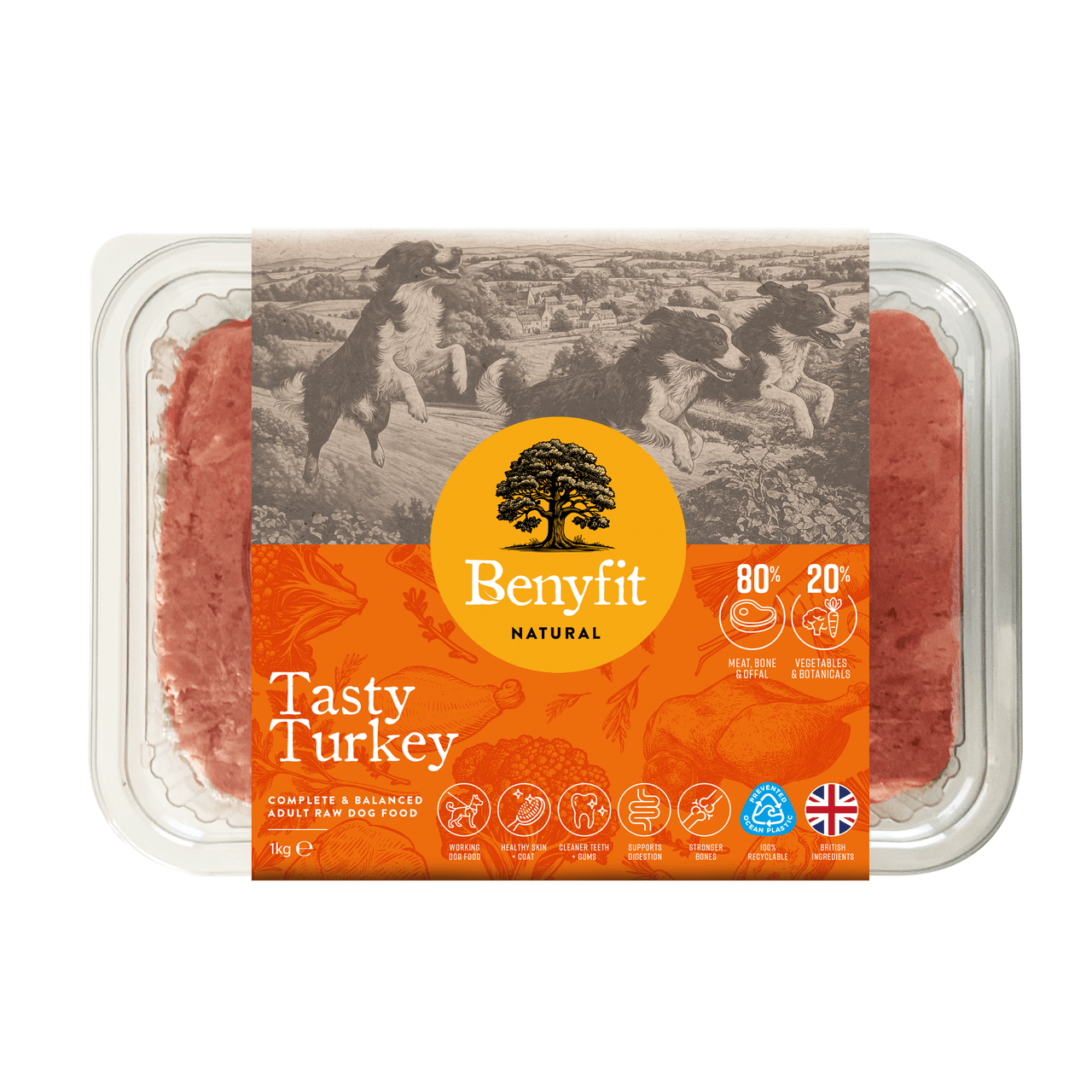Benyfit Natural Tasty Turkey Complete Adult Raw Dog Food - 1Kg