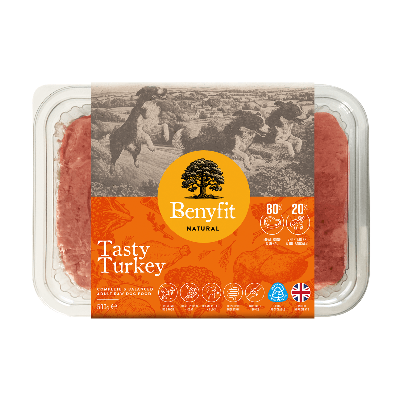 Benyfit Natural Tasty Turkey Complete Adult Raw Dog Food - 500G